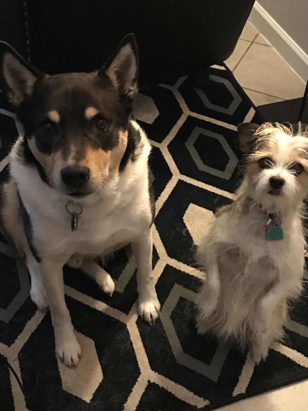 Finn and Lizzy